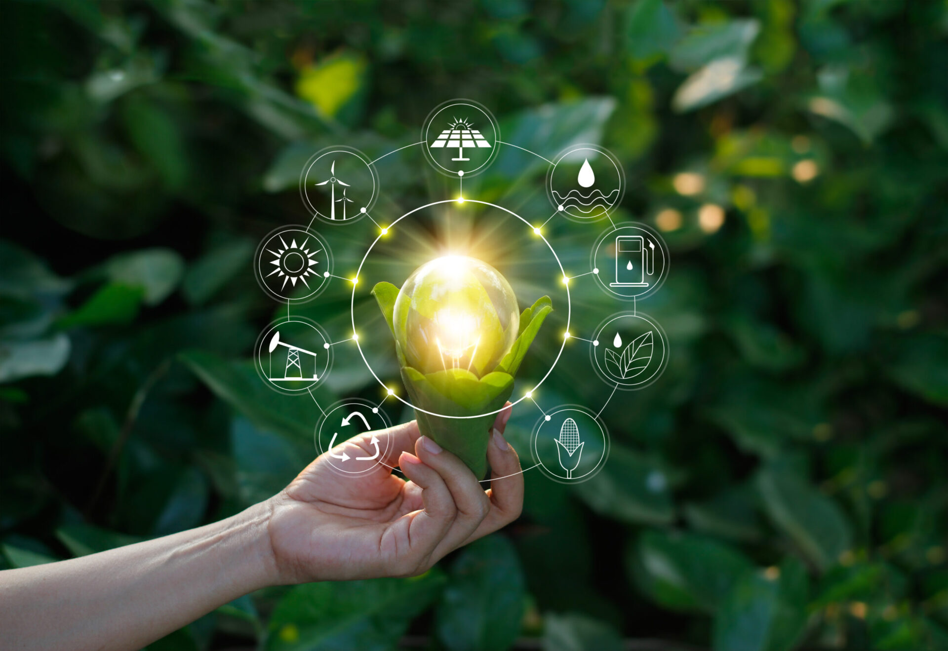 Energiewende – was bedeutet das eigentlich?