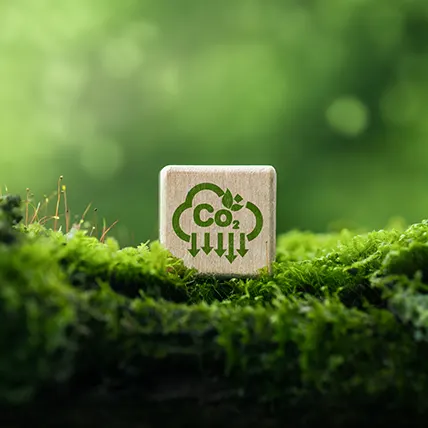 Eingesparte CO2 Emissionen