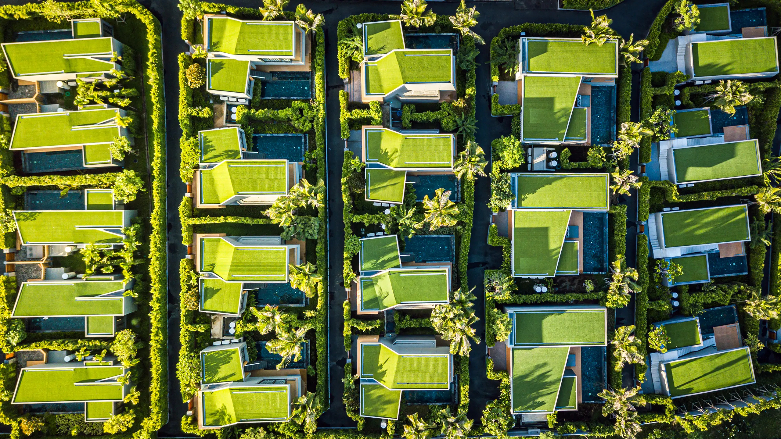 Welche Dachfläche eignet sich für ein Solargründach?