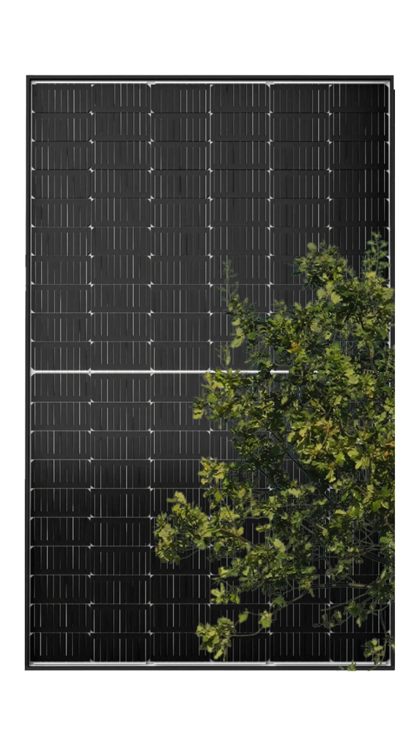 Solare Verschattung bei Bäumen