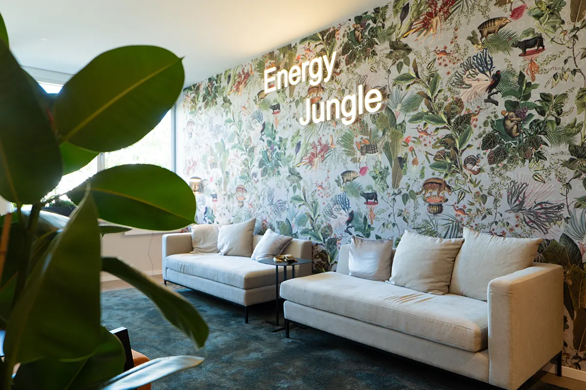 PEC Office Energy Jungle