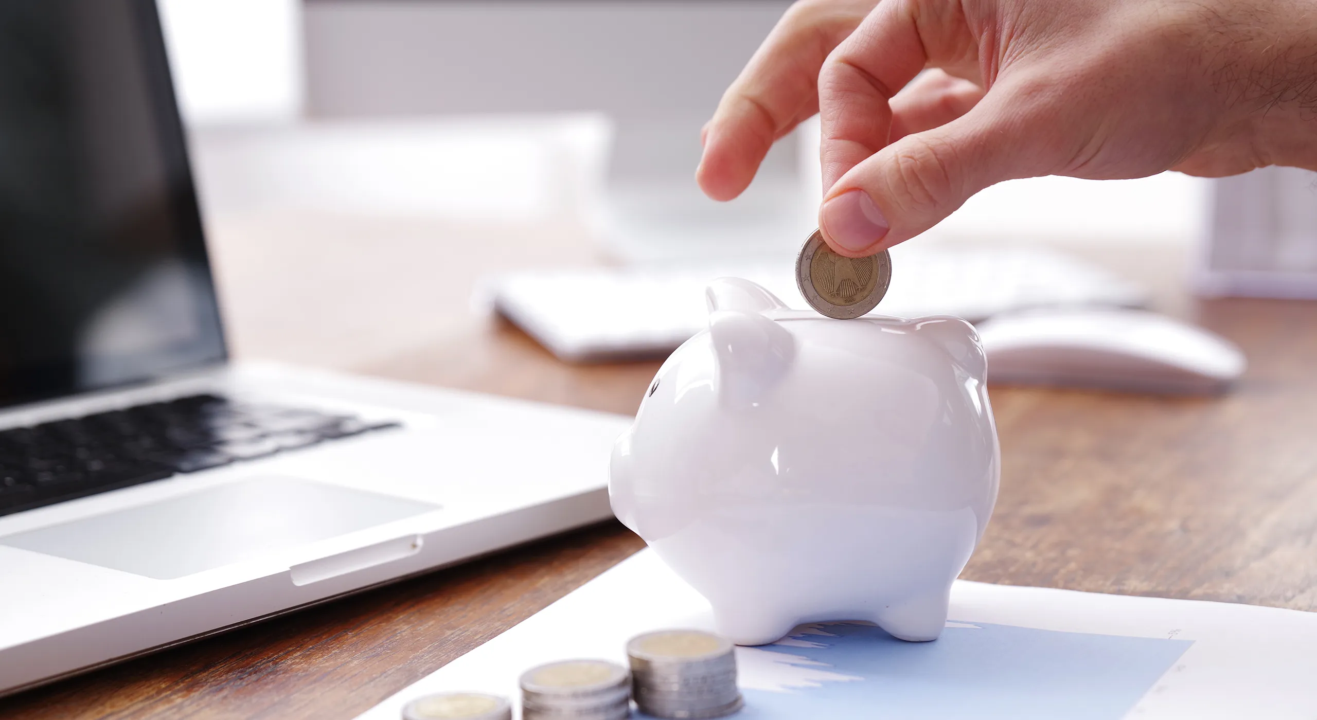 PEC Qualität punktet bei Solarmodul-Kauf