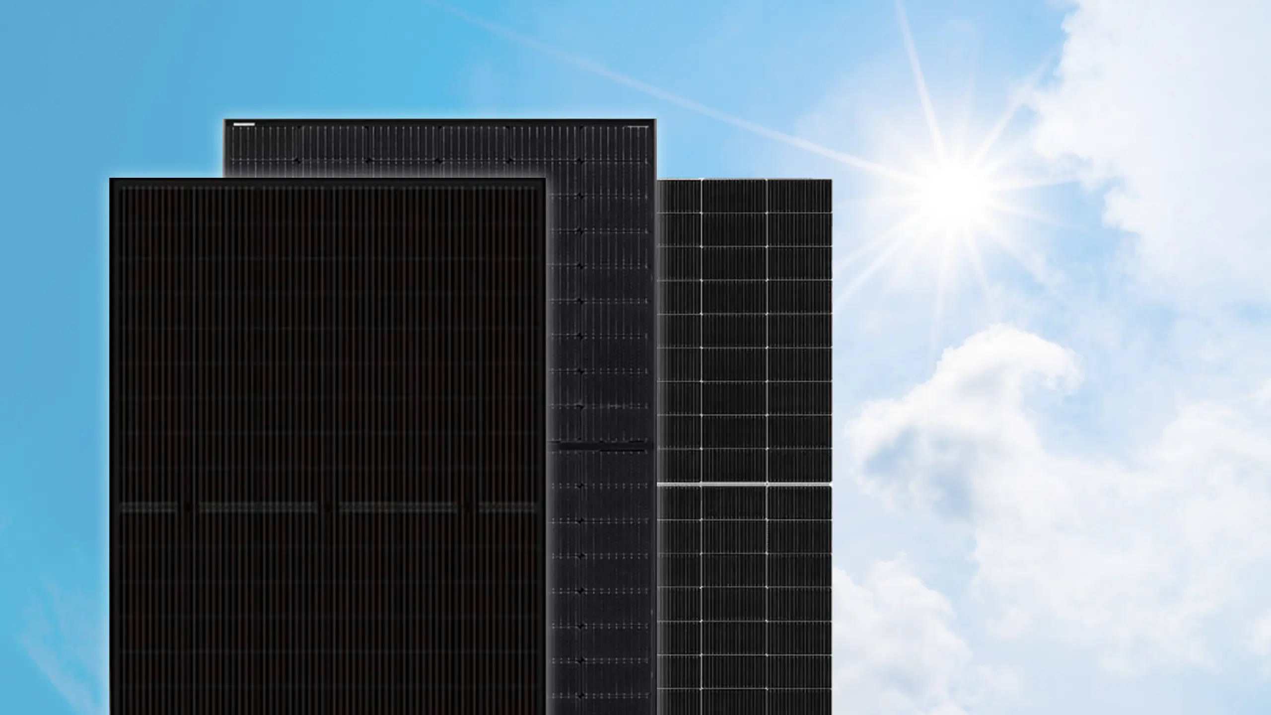 Das richtige Solarmodul auswählen